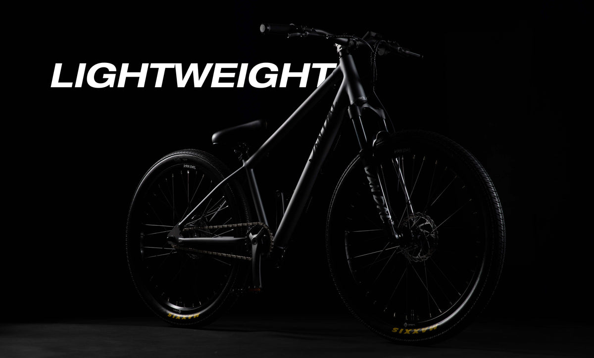 ONSRA VANDAL electric bike – "Lightweight"